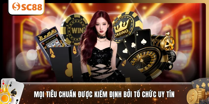 Mọi tiêu chuẩn được kiểm định bởi tổ chức uy tín